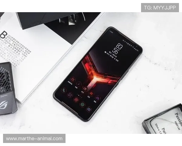 乐博真人客服服务全方位，快速响应解决玩家在游戏中遇到的各种问题