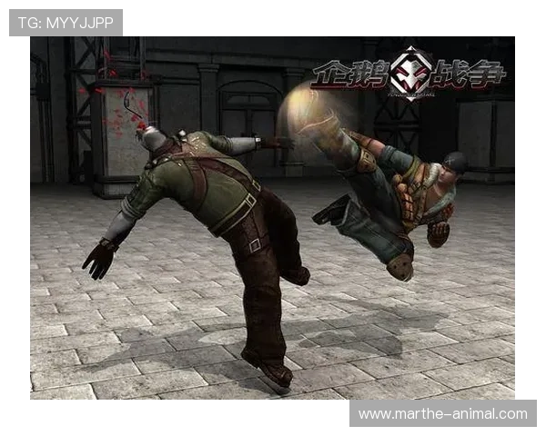 国际真人游戏安装常见问题及解决方案新手玩家必备的详细操作指南