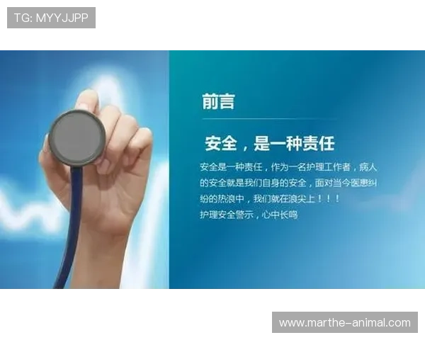 头头体育app登录安全保障措施全面解析，确保用户信息安全与账号无忧