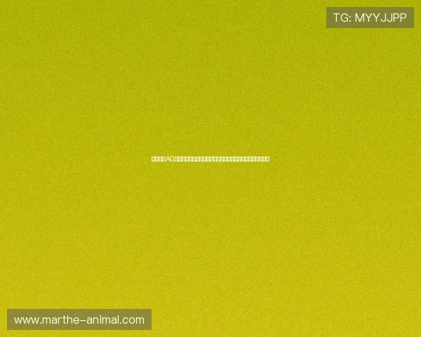 如何通过AG恒峰官网快速注册并享受专属优惠，成为线上娱乐的最佳选择