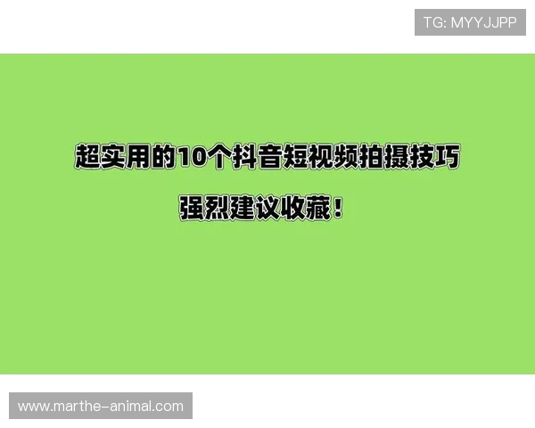 掌握AG真人厅会员注册技巧提升账户安全性和游戏体验的实用建议