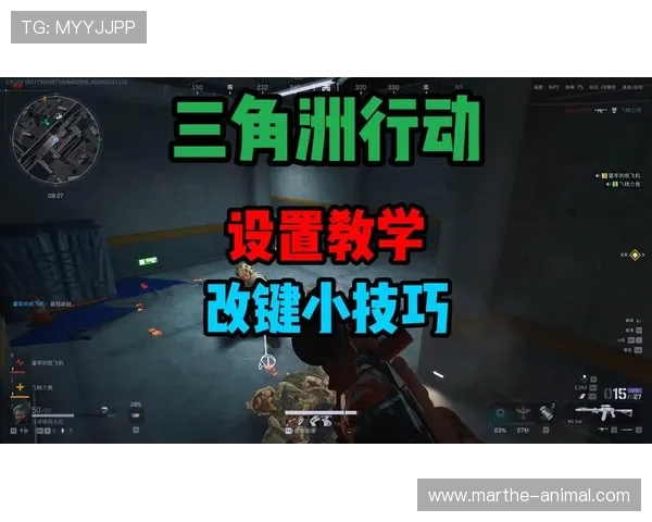 提升游戏胜率必备的ag百家技巧打法集于一身详细指南助你轻松取胜