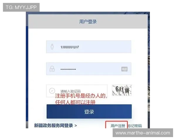 用户必看：K8凯发集团网址的注册流程与账号安全保护措施详解